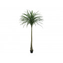 Planta artificiala Dracaena, 220 cm, EuroPalms 82505798