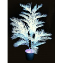 Palmier artificial Kentia UV-alb, 170 cm, EuroPalms 82709505