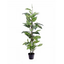 Planta artificiala Dieffenbachia, 120 cm, EuroPalms 82508306