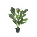 Planta artificiala Spathiphyllum de lux, 83 cm, EuroPalms 82505662