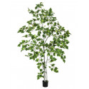 Mesteacan, planta artificiala 180 cm, EuroPalms 82505231 