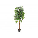 Ficus artificial cu trunchi multiplu, 150 cm, EuroPalms 82506125