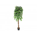 Ficus artificial cu trunchi multiplu, 180 cm, EuroPalms 82506126