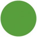Folie colorata Showtec Fern Green 122 x 55 cm