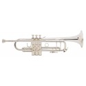 Trompeta Bb, Stradivarius VINCENT BACH LT180S-43G