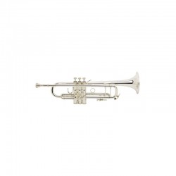 Trompeta Bb, Stradivarius VINCENT BACH LT180S-72G