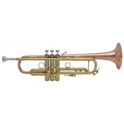 Trompeta Bb, Stradivarius VINCENT BACH LR190-43B