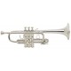 Trompeta D, Stradivarius Vincent Bach D180ML