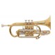 Cornet Bb, Stradivarius VINCENT BACH 184SG