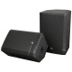 Boxa activa cu DSP DAP Audio Pure-15A