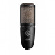  Microfon Studio AKG P220